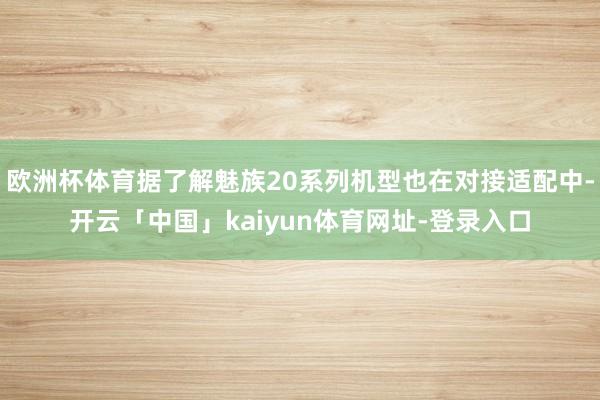 欧洲杯体育据了解魅族20系列机型也在对接适配中-开云「中国」kaiyun体育网址-登录入口