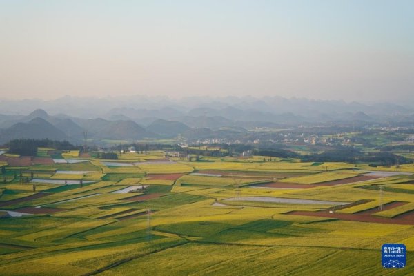 开yun体育网眩惑各地搭客前来不雅花赏景-开云「中国」kaiyun体育网址-登录入口
