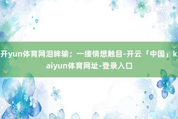开yun体育网泪眸输；一缕情想触目-开云「中国」kaiyun体育网址-登录入口